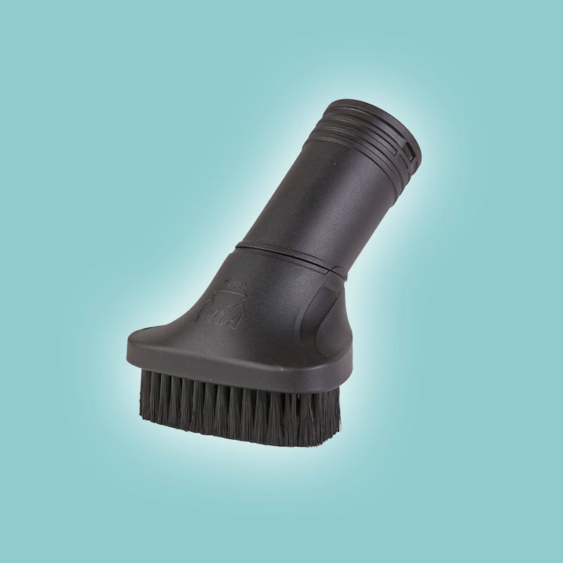 Brosse à poils durs HYLA EST