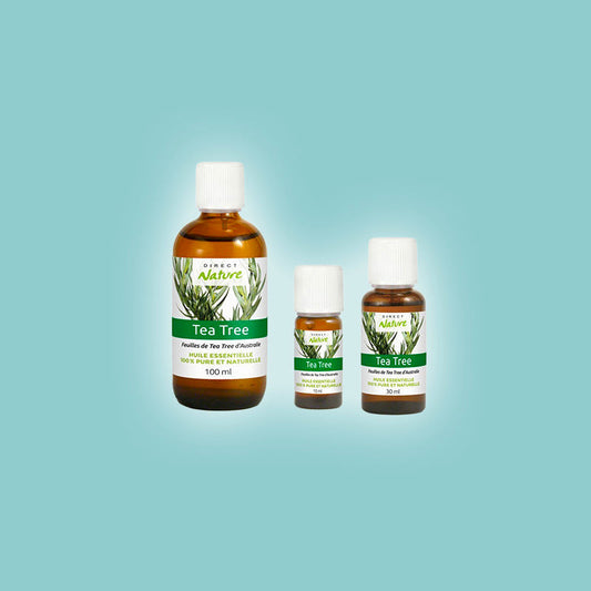 Huile essentielle Tea Tree